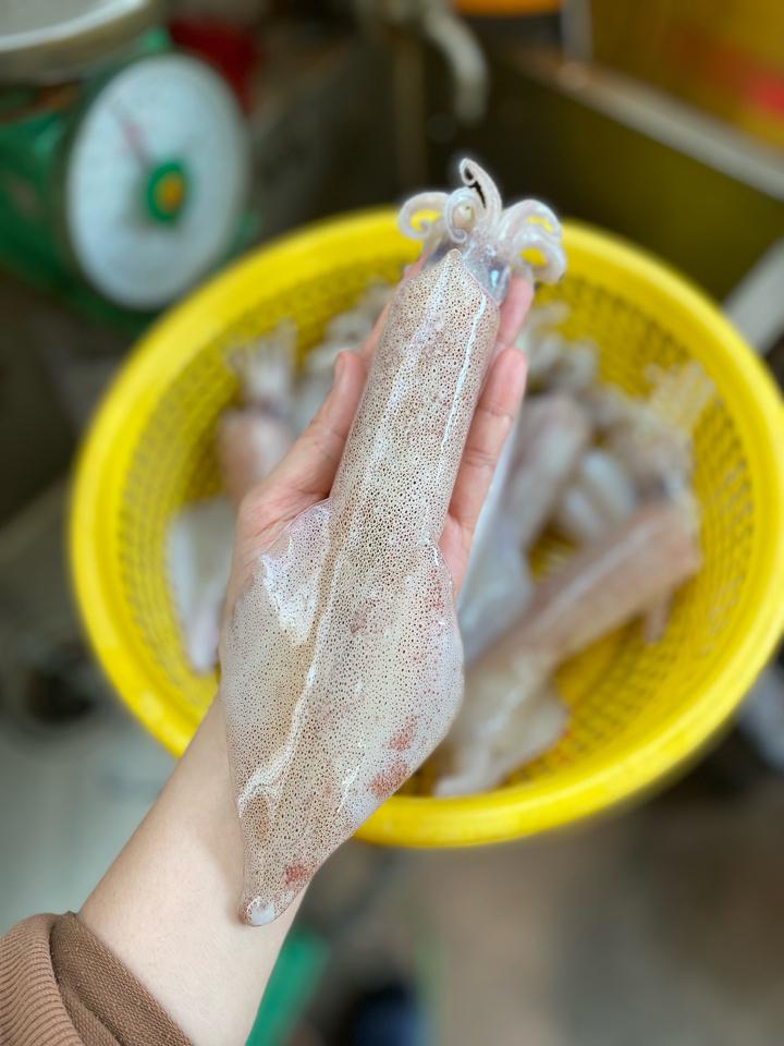 Mực ống lớn-duoc-ban-tai-Hải sản Kim Uyên