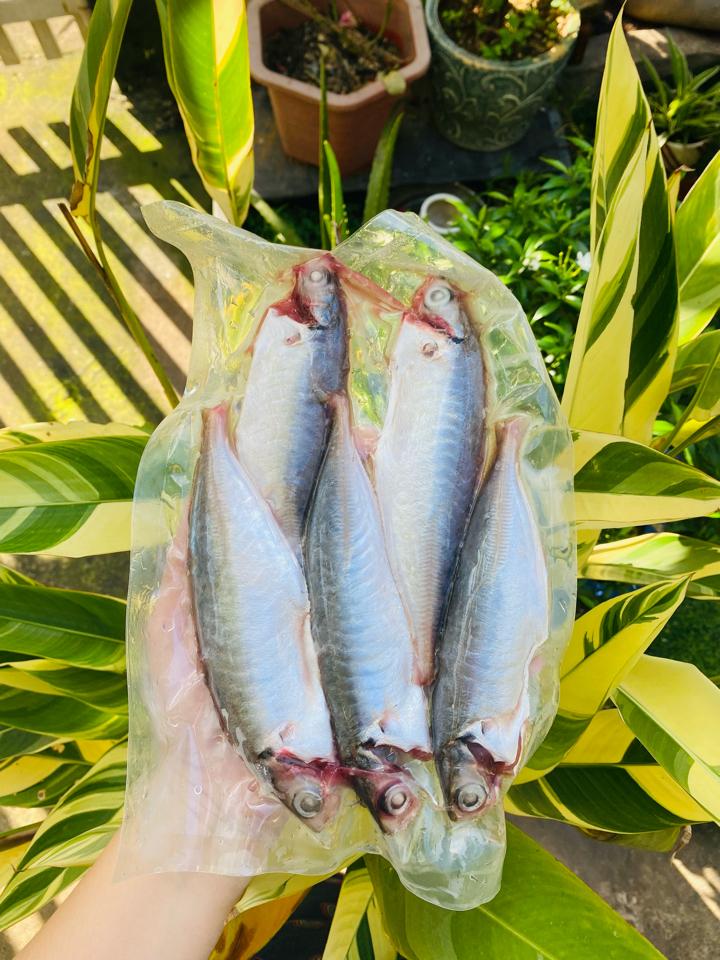 Cá nục gai -duoc-ban-tai-Hải sản Kim Uyên