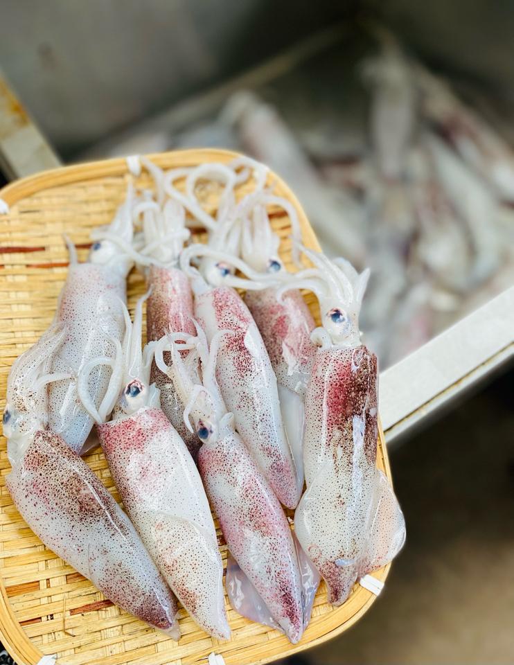 Mưc ống-duoc-ban-tai-Hải sản Kim Uyên