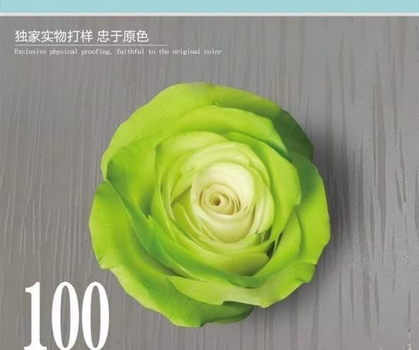 Màu xanh cốm (m100)-duoc-ban-tai-Phụ kiện cưới hỏi Hà Anh