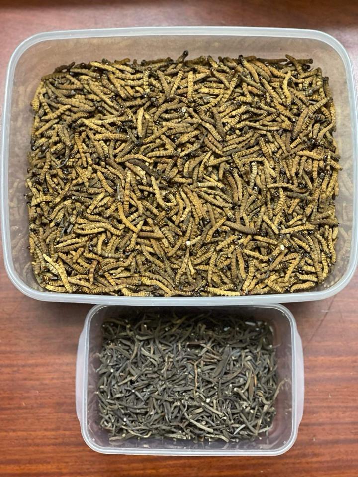 Đông trùng hạ thảo mắt đỏ Bhutan gẫy các size-duoc-ban-tai-Phương Thuý Store