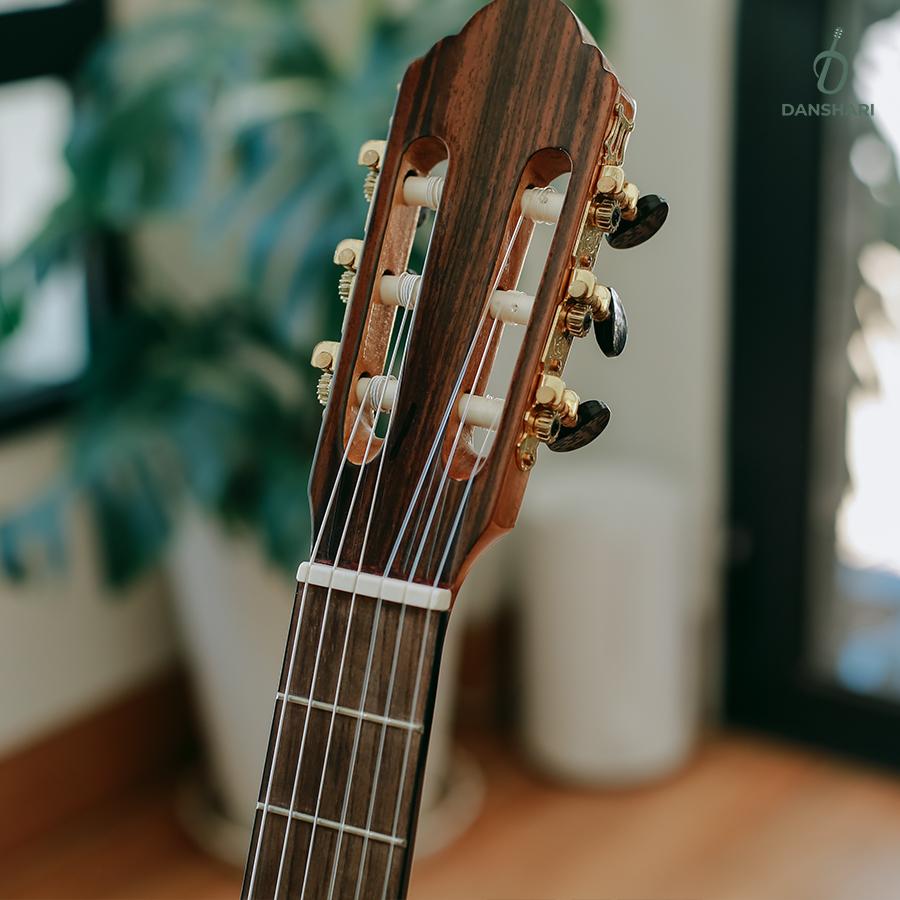 Guitar Classic DANSHARI CM1-duoc-ban-tai-Danshari Guitar