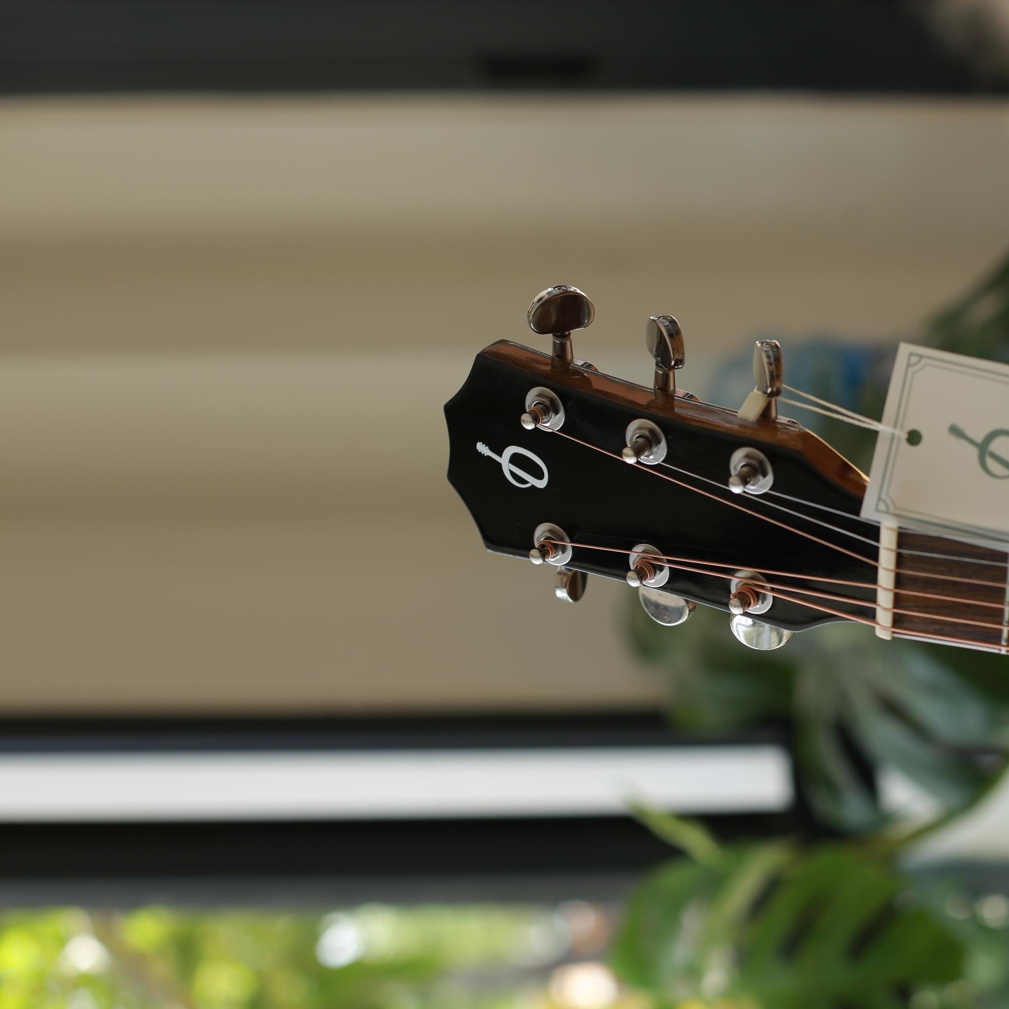 Guitar Acoustic DANSHARI AE300-duoc-ban-tai-Danshari Guitar