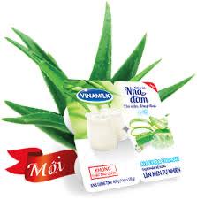 Sữa chua nha đam-duoc-ban-tai-MỘC QUÁN MỲ CAY
