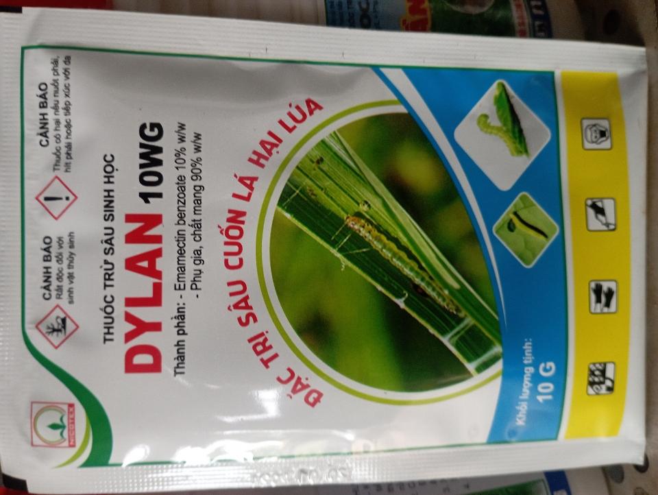 Dylan-duoc-ban-tai-Haithu2