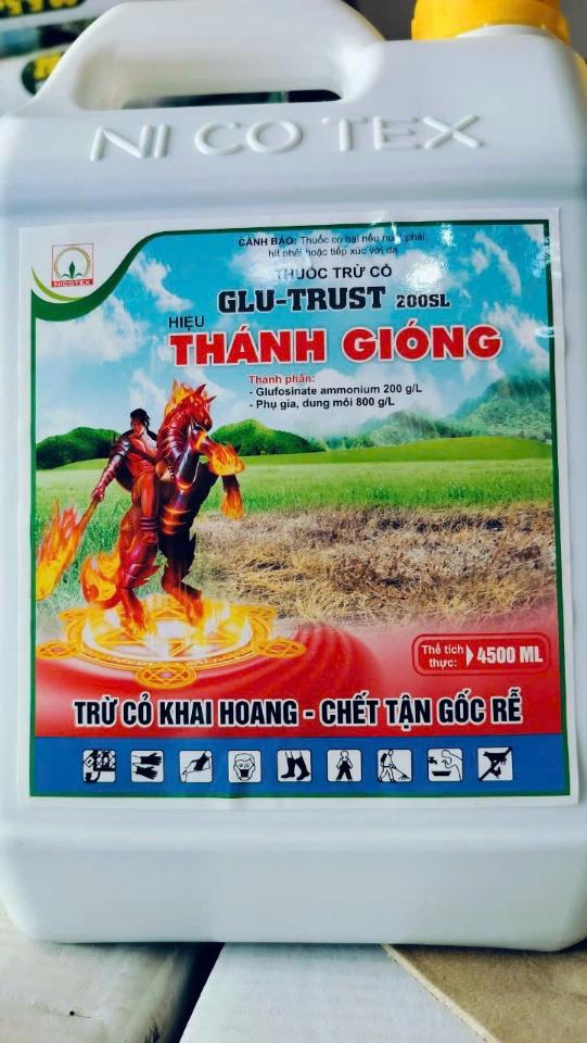Thánh gióng 5l-duoc-ban-tai-Haithu2