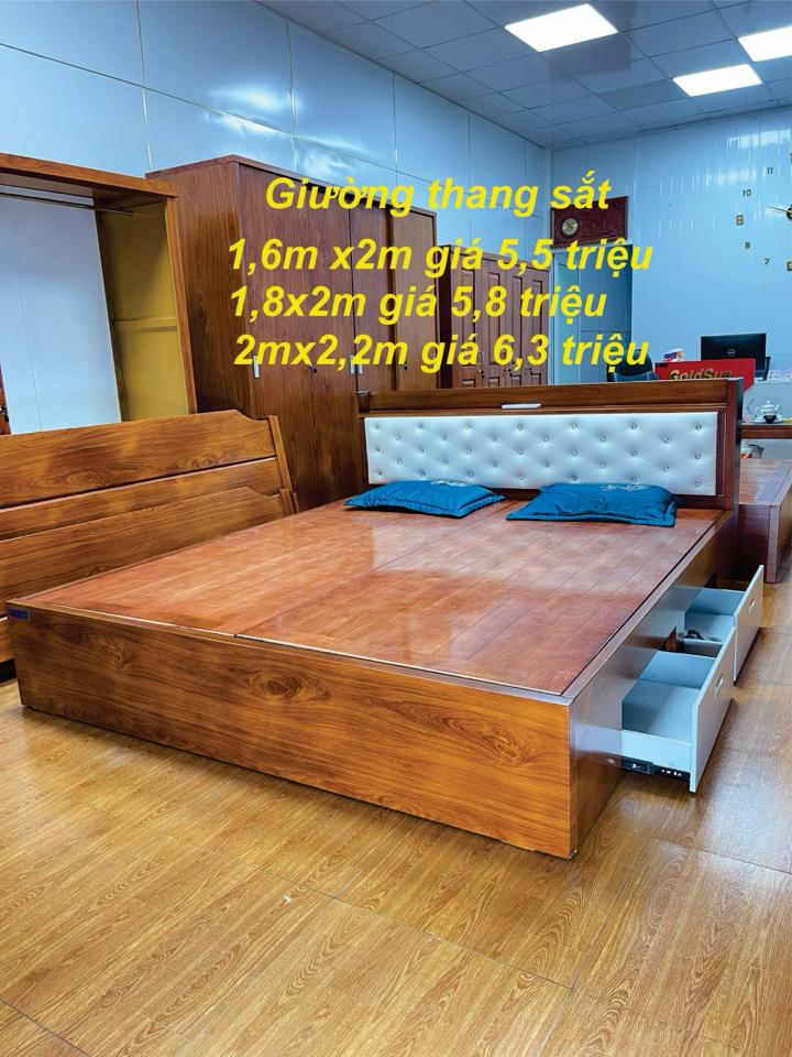 Giường thép 2 ngăn kéo GOLDSUN 1,6 x 2m-duoc-ban-tai-GOLDSUN - TỦ THÉP, GIƯỜNG THÉP, BÀN HỌC THÉP VÂN GỖ