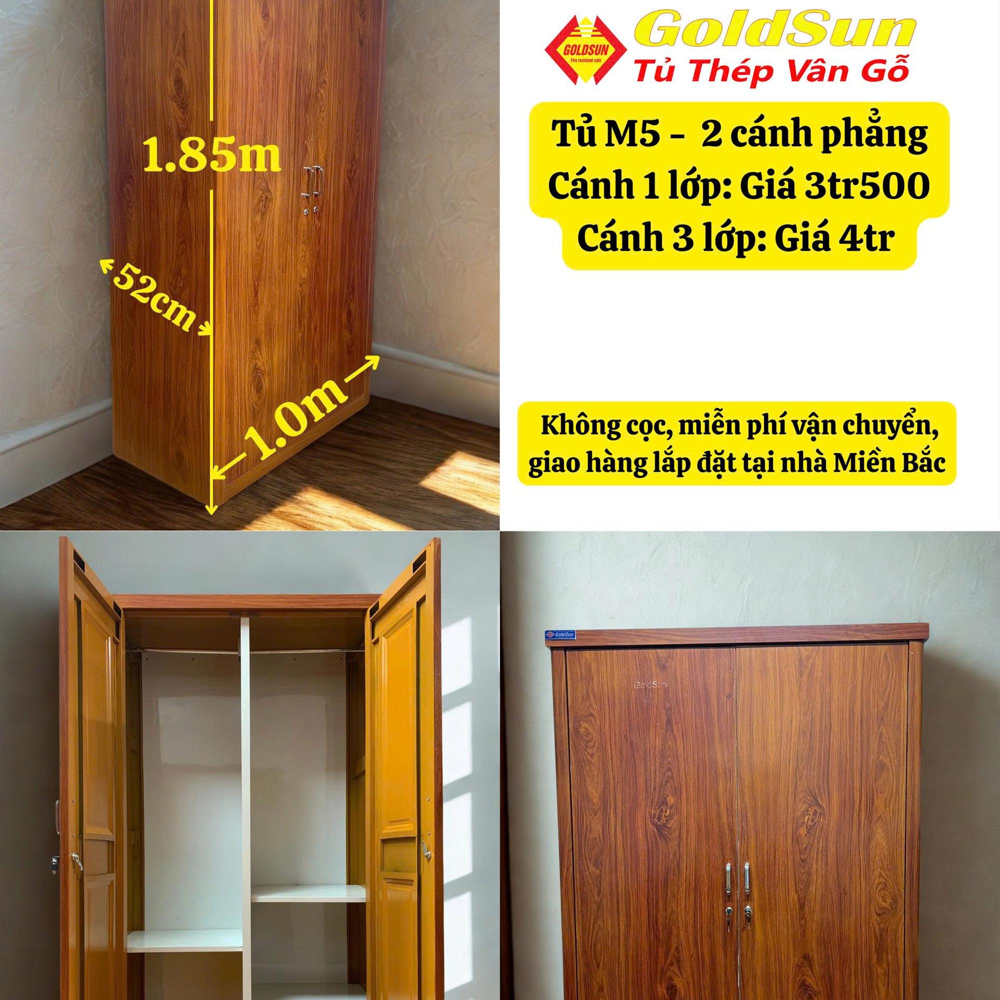Tủ M5-2 cánh phẳng 1m-duoc-ban-tai-GOLDSUN - TỦ THÉP, GIƯỜNG THÉP, BÀN HỌC THÉP VÂN GỖ