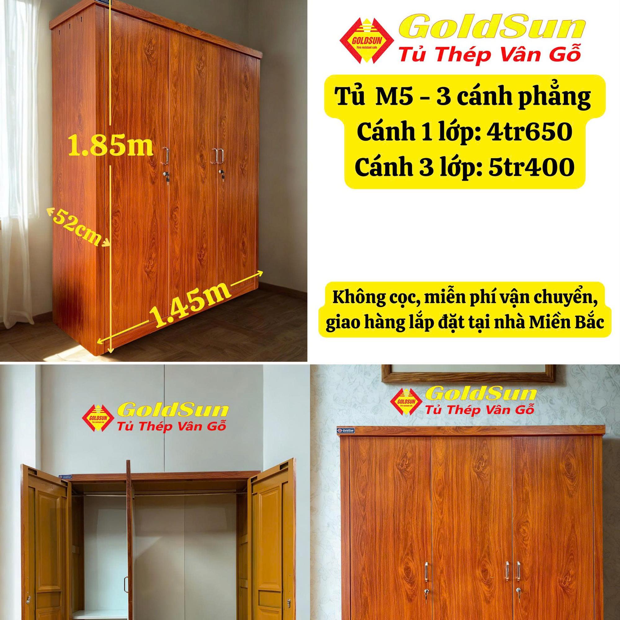 Tủ M5-3 cánh phẳng-duoc-ban-tai-GOLDSUN - TỦ THÉP, GIƯỜNG THÉP, BÀN HỌC THÉP VÂN GỖ