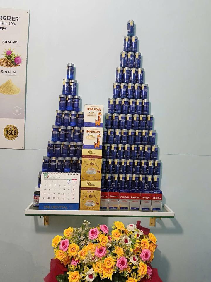 Protandim Nhập Khẩu Chính Ngạch Chống Oxy Hoá (Nội Sinh)-duoc-ban-tai-N.L Shop