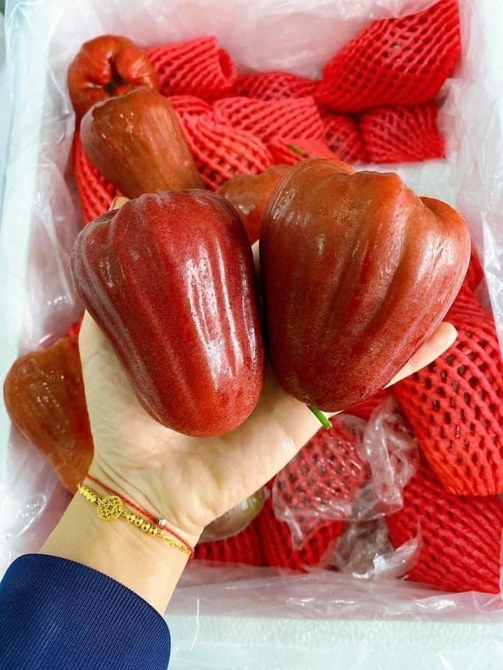 Roi Lan168 hàng Vip cặp-duoc-ban-tai-Anle Hoàng Yến Fruits