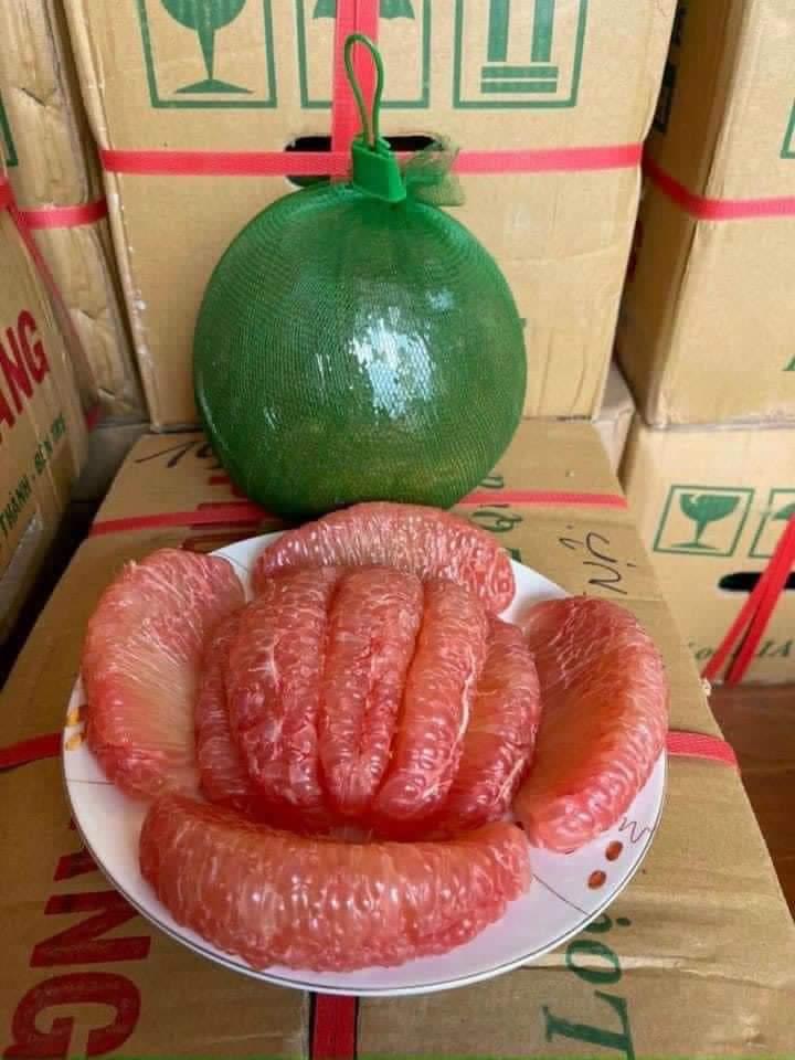 Bưởi Da Xanh -duoc-ban-tai-Anle Hoàng Yến Fruits