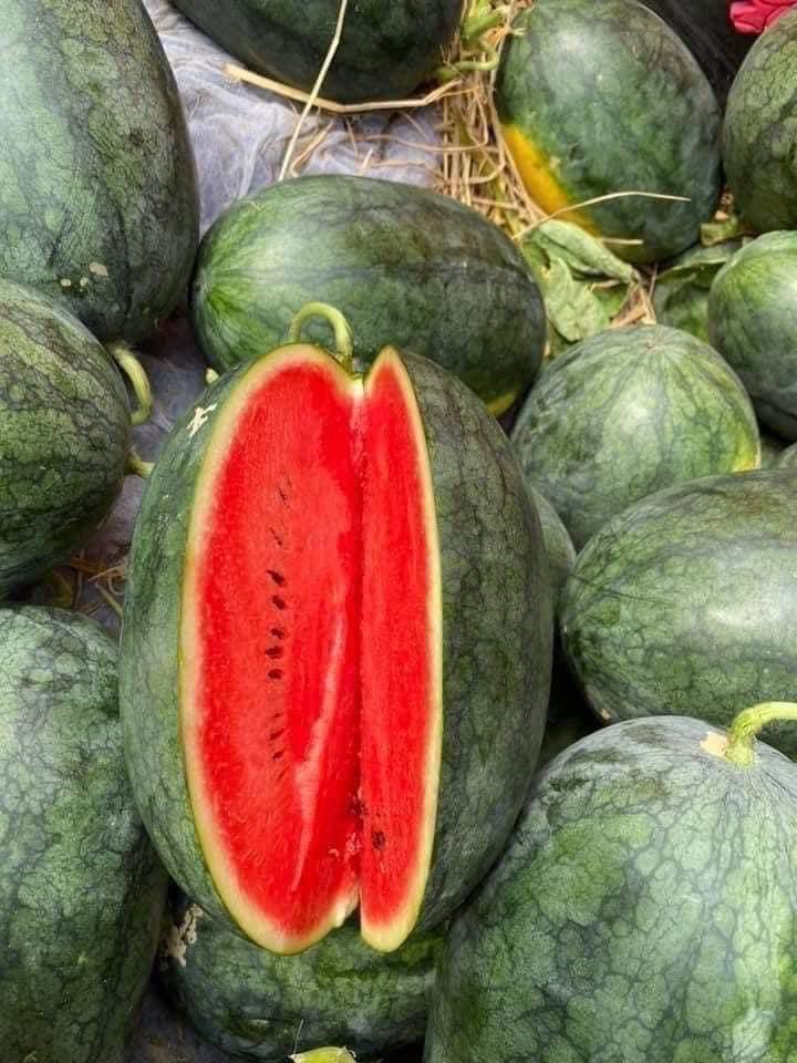 Dưa Hấu Sài Gòn -duoc-ban-tai-Anle Hoàng Yến Fruits