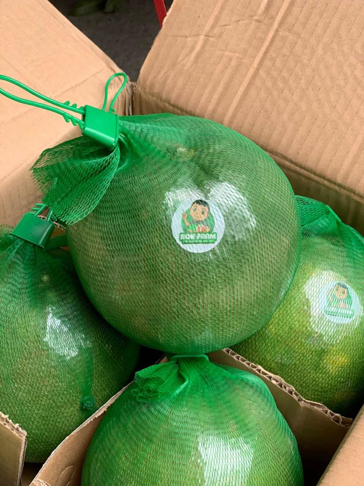 Bưởi da xanh Bon Fram-duoc-ban-tai-Anle Hoàng Yến Fruits
