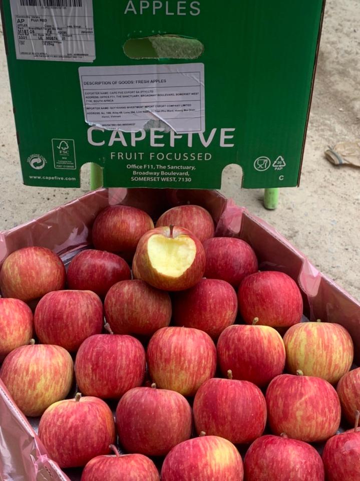 Táo túi Red Fuji size 120-135. Túi 3kg-duoc-ban-tai-Anle Hoàng Yến Fruits