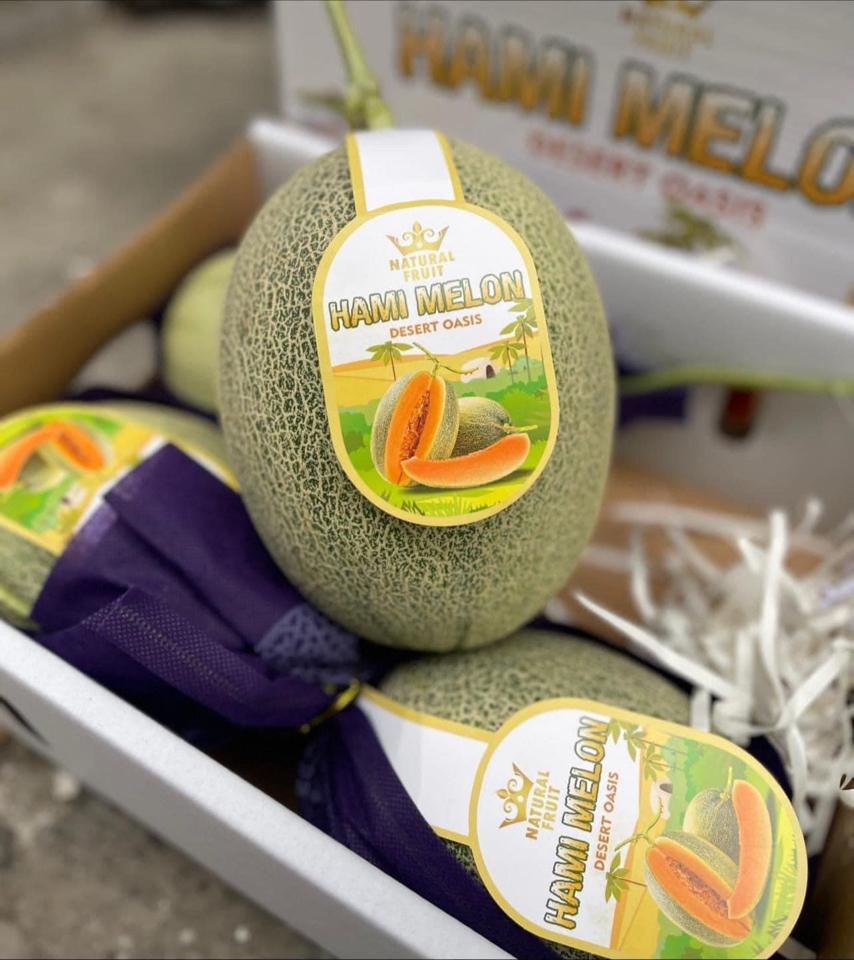 Dưa lưới Hami Melon-duoc-ban-tai-Anle Hoàng Yến Fruits
