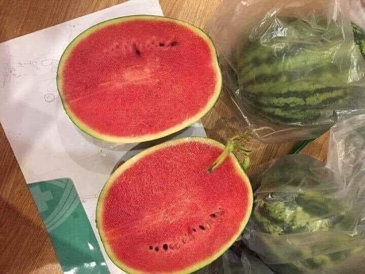 Dưa hấu sọc Mỹ-duoc-ban-tai-Anle Hoàng Yến Fruits