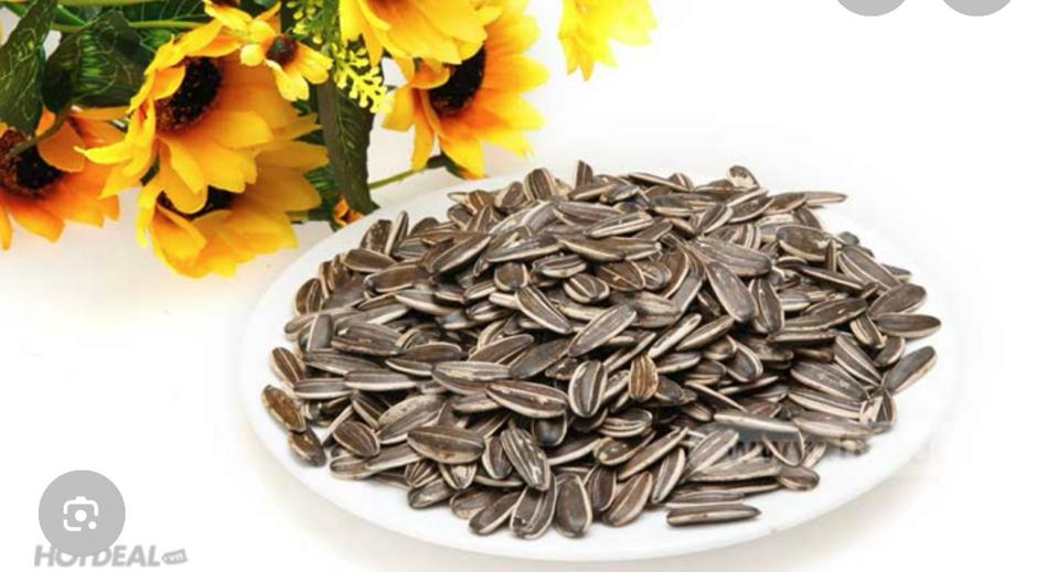 Hướng dương-duoc-ban-tai-Ngọc Bích Coffee