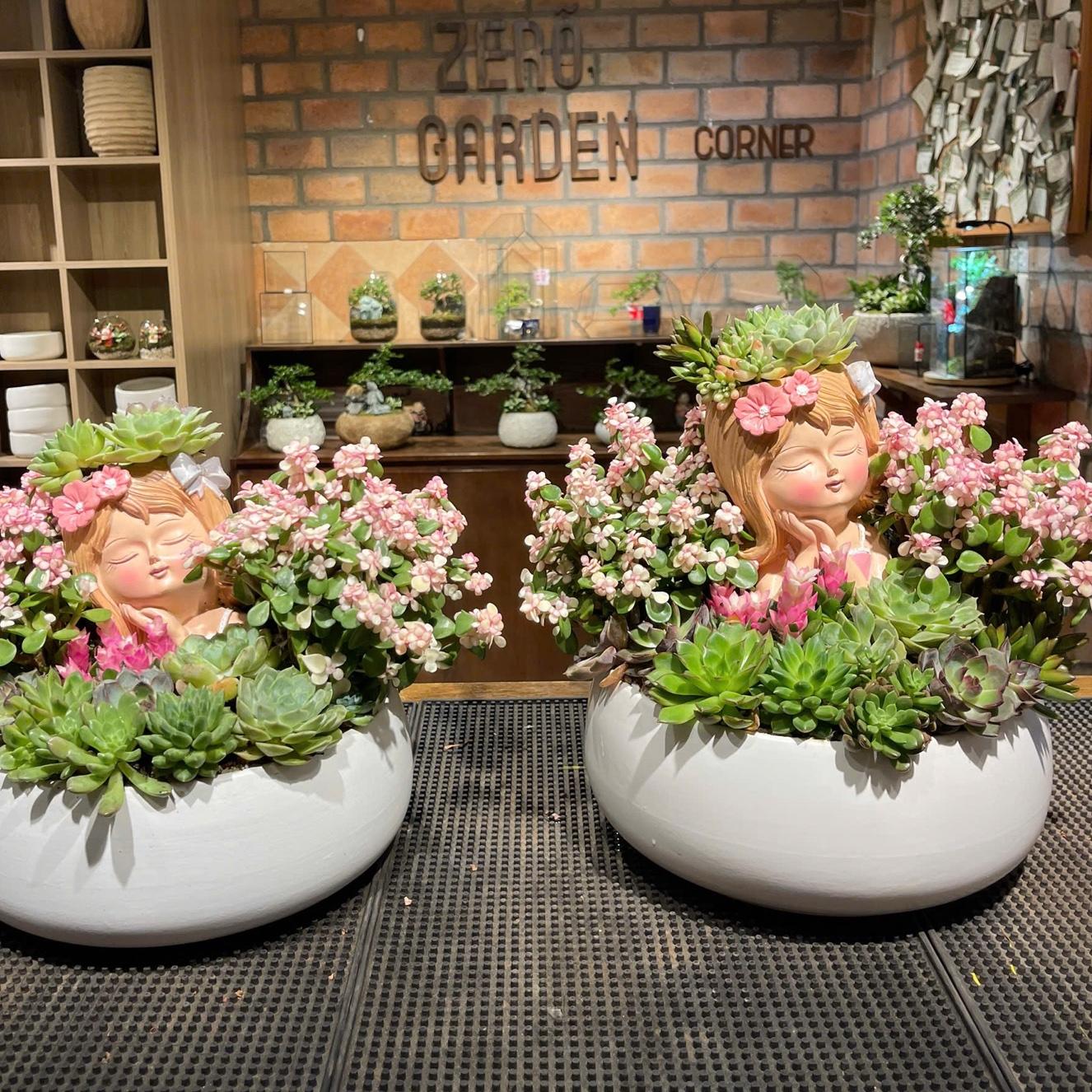 Sen đá cô gái-duoc-ban-tai-Camy Garden - Cây Xinh Hà Nội
