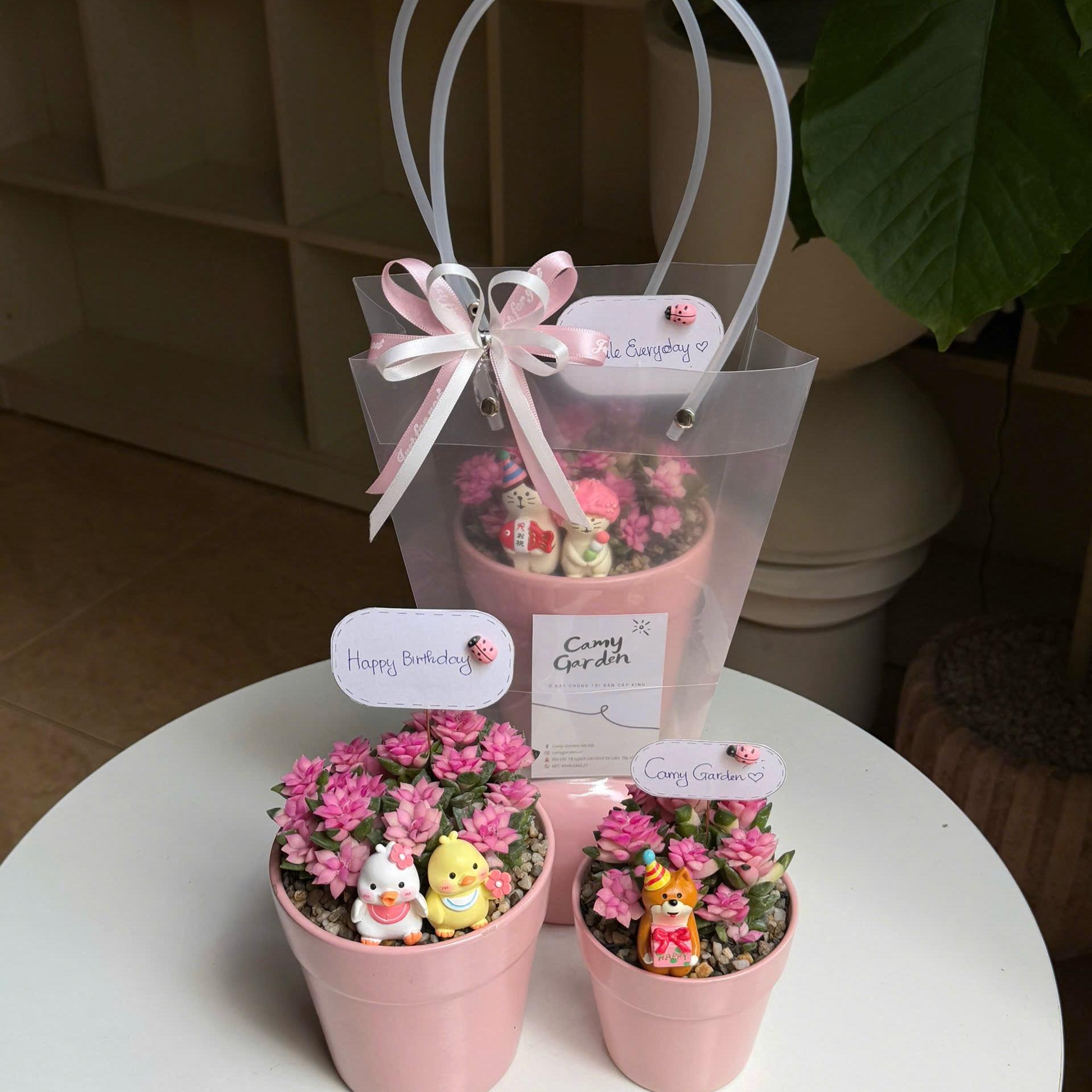 Set hồng sao size L-duoc-ban-tai-Camy Garden - Cây Xinh Hà Nội