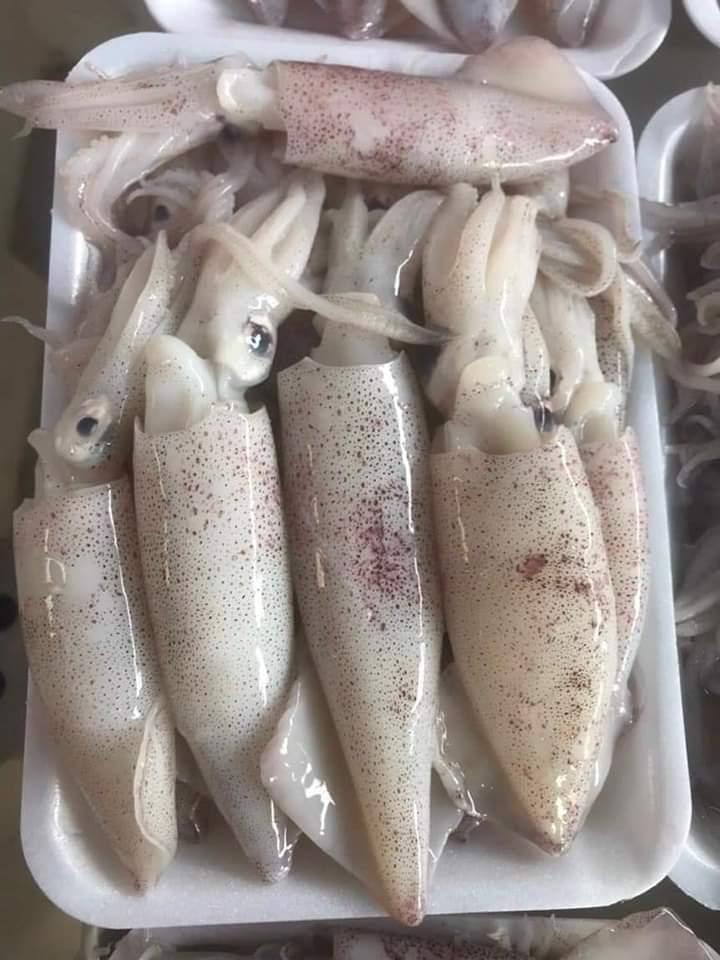 Mực ống size 18-20-duoc-ban-tai-BẾP NHÀ TRANG
