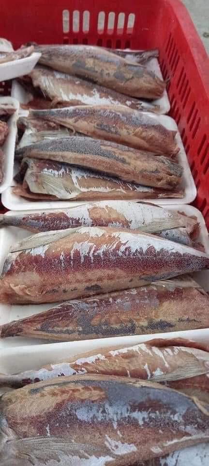 Cá nục size nhỏ 18-20 con-duoc-ban-tai-BẾP NHÀ TRANG