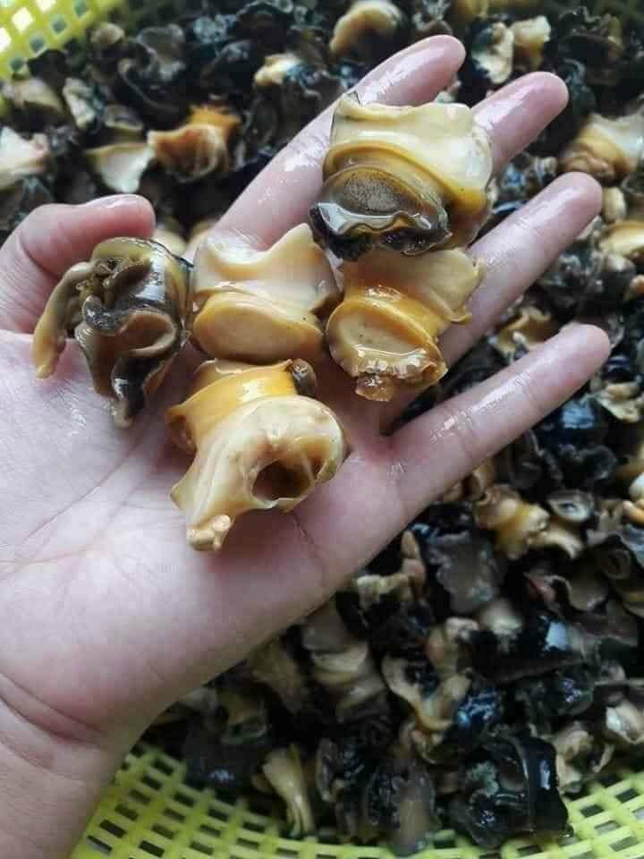 Ruột ốc bươu-duoc-ban-tai-BẾP NHÀ TRANG