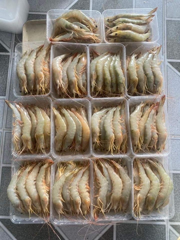 Tôm he biển-duoc-ban-tai-BẾP NHÀ TRANG