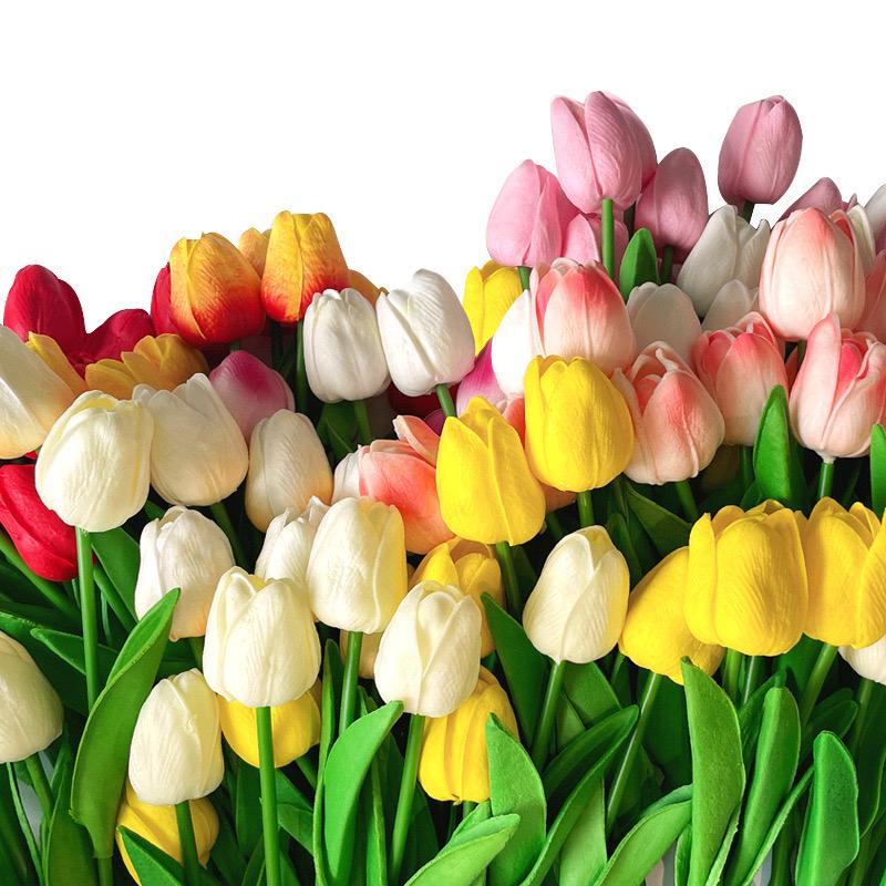 Hoa tulip có cành và lá-duoc-ban-tai-PITY SHOP