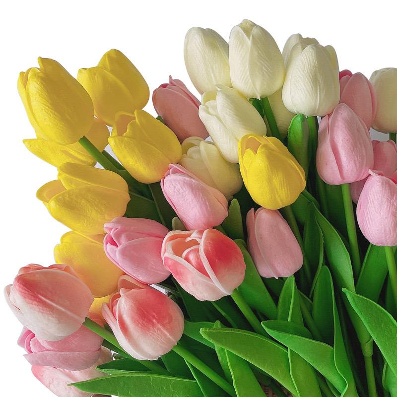 Hoa tulip có cành và lá-duoc-ban-tai-PITY SHOP