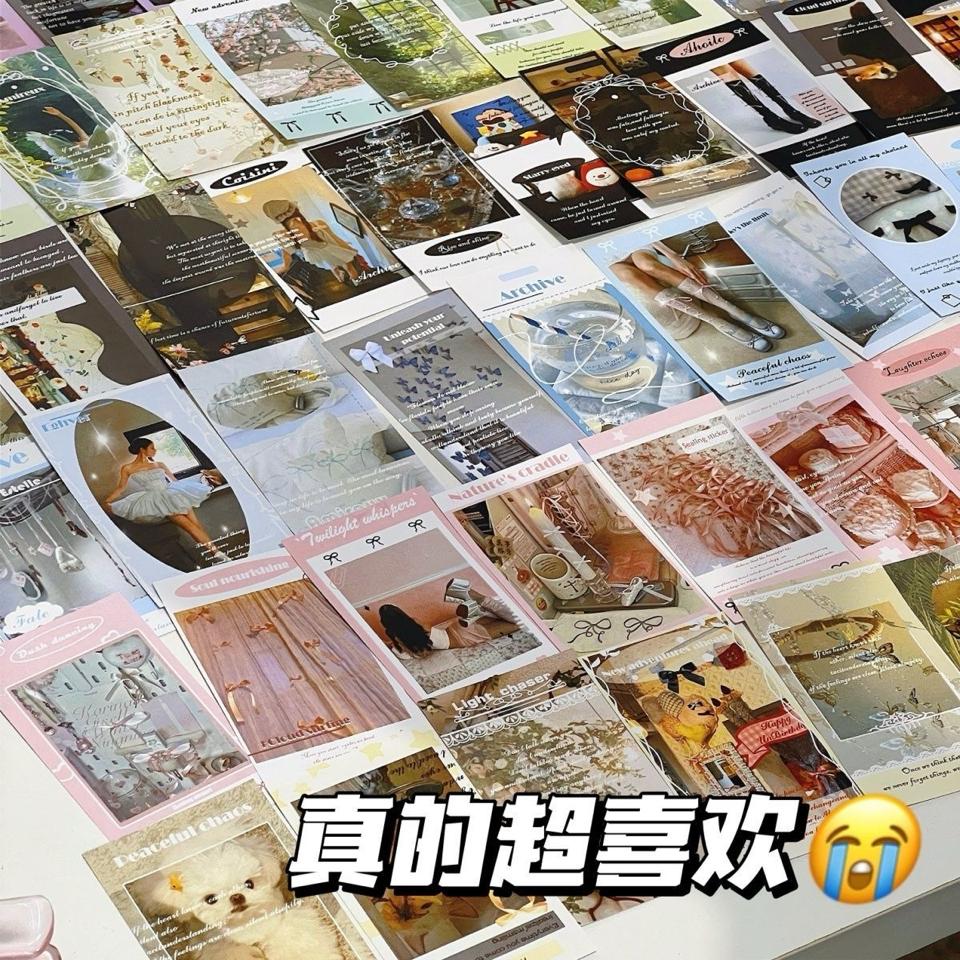 Sticker Niêm Phong Hoạ Tiết Cute-duoc-ban-tai-Tôm Heo Xứ Quán