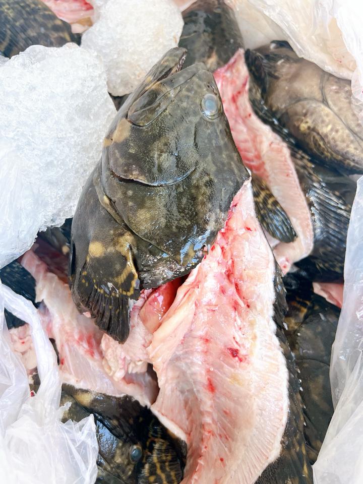 Đầu cá mú-duoc-ban-tai-Kho sỉ ăn vặt đông lạnh trái cây TUYẾT SƯƠNG