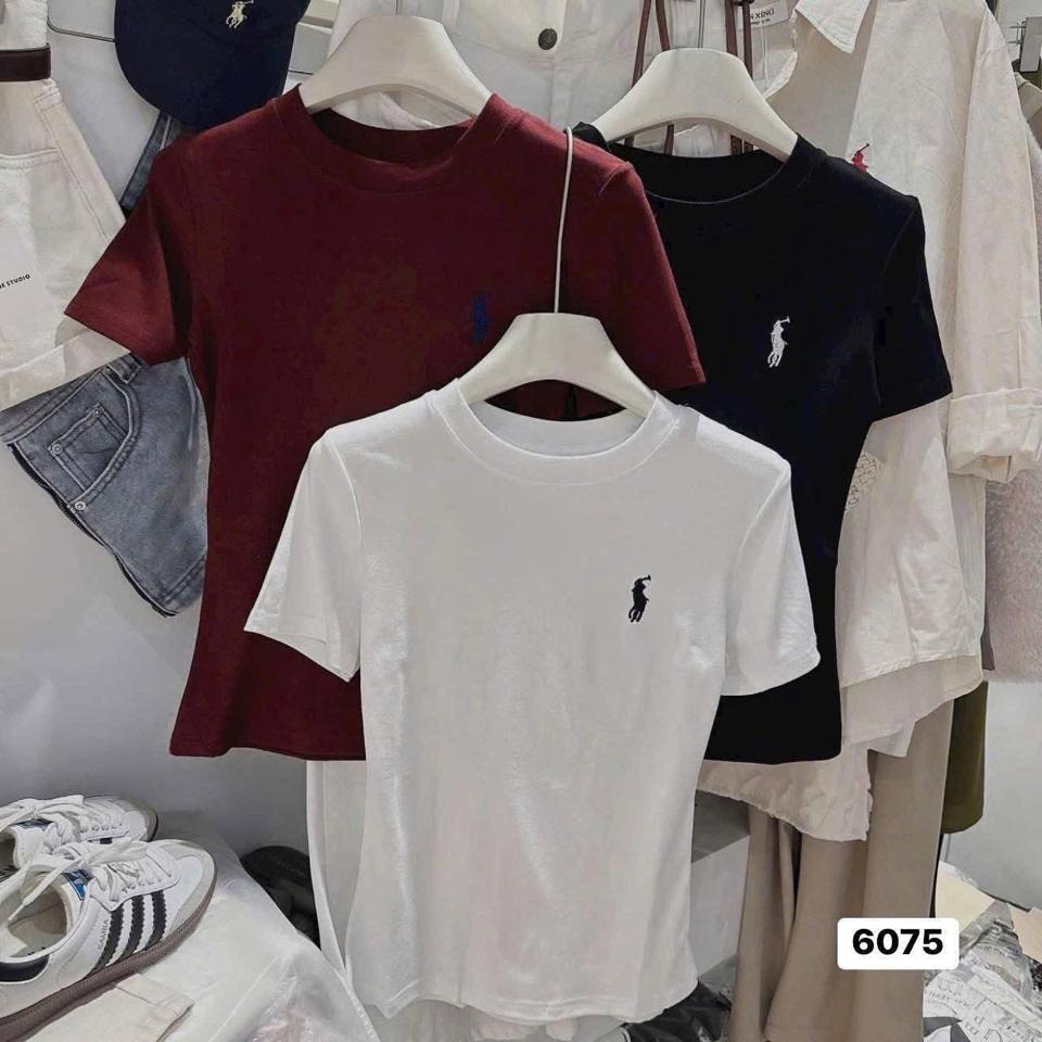Body cộc tay-duoc-ban-tai-ANN BASIC