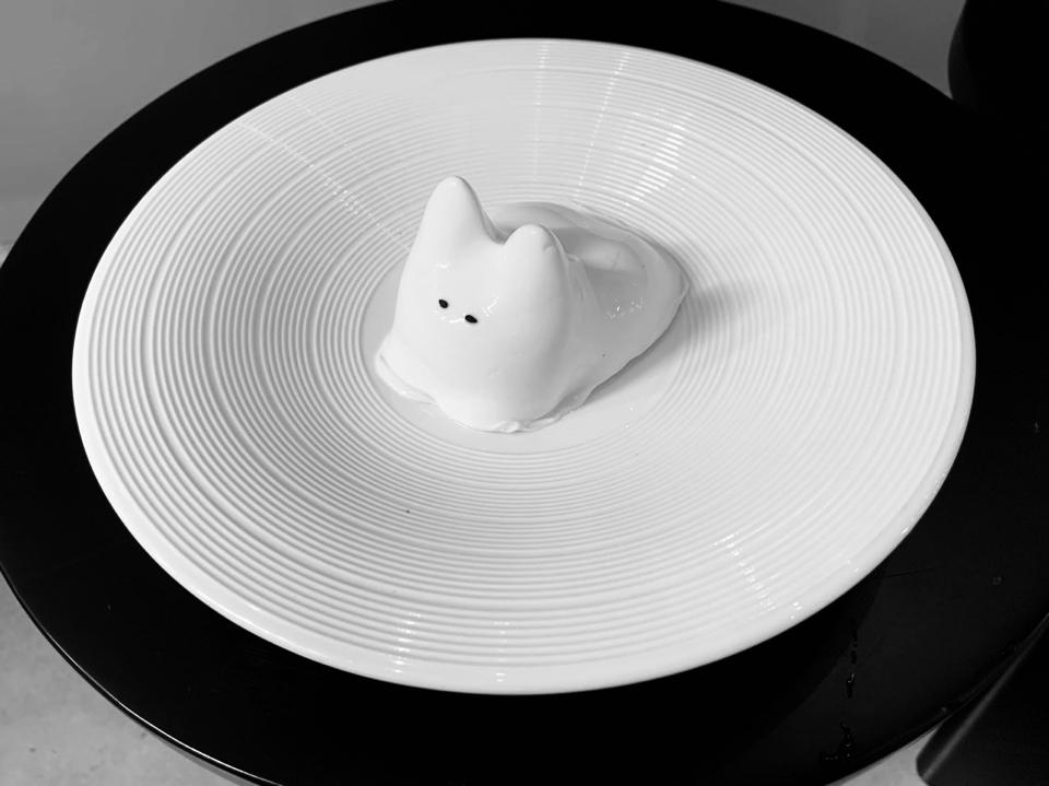 Thỏ Mèo K-Pop (meow pudding)-duoc-ban-tai-RICE ON RICE