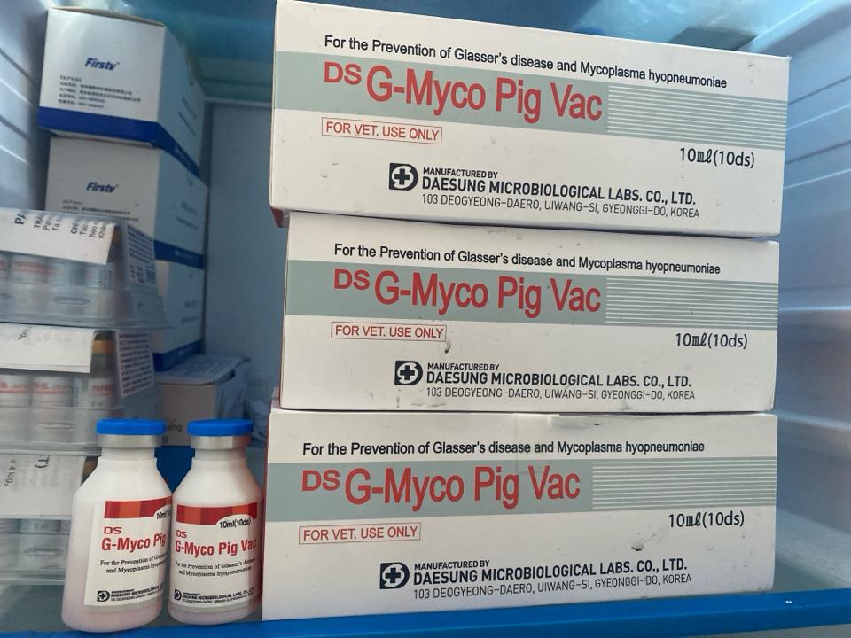 G-Myco Pig Vac (KOREA)-duoc-ban-tai-Cửa Hàng Thuốc Thú Y Lanh Luyến