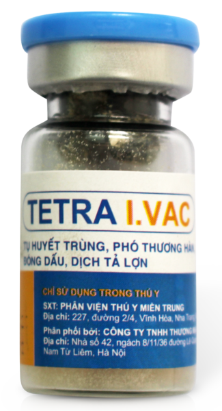 TETRA I.VAC (KÉP 4 BỆNH)-duoc-ban-tai-Cửa Hàng Thuốc Thú Y Lanh Luyến