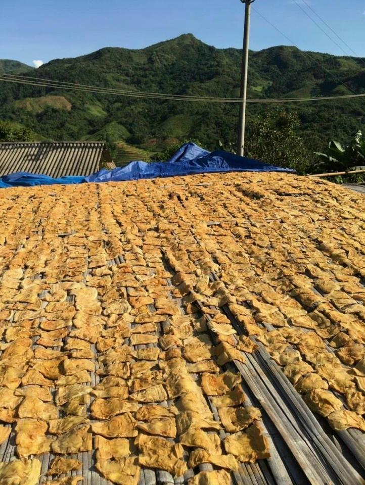 Măng mầm tre Mường Pồn-duoc-ban-tai-Shop Hương rừng Điện Biên
