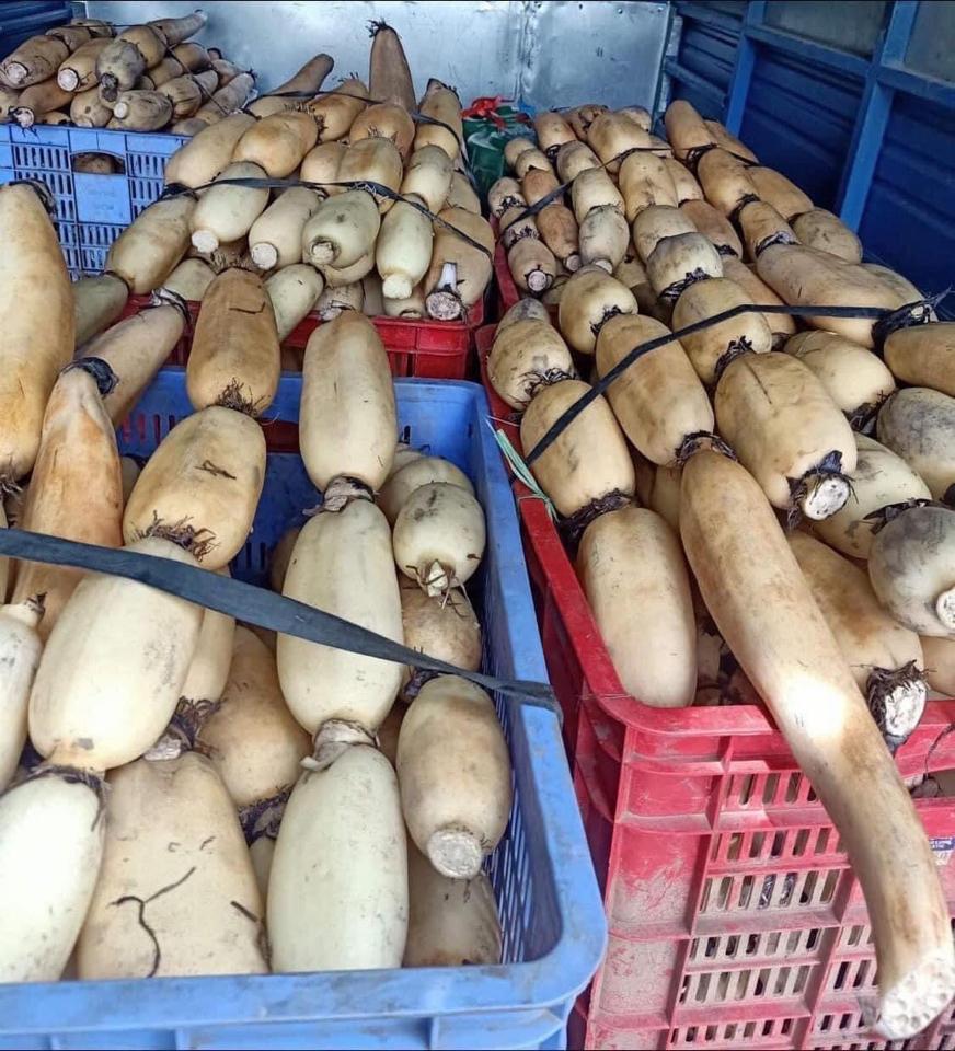 Bột củ sen-duoc-ban-tai-Shop Hương rừng Điện Biên