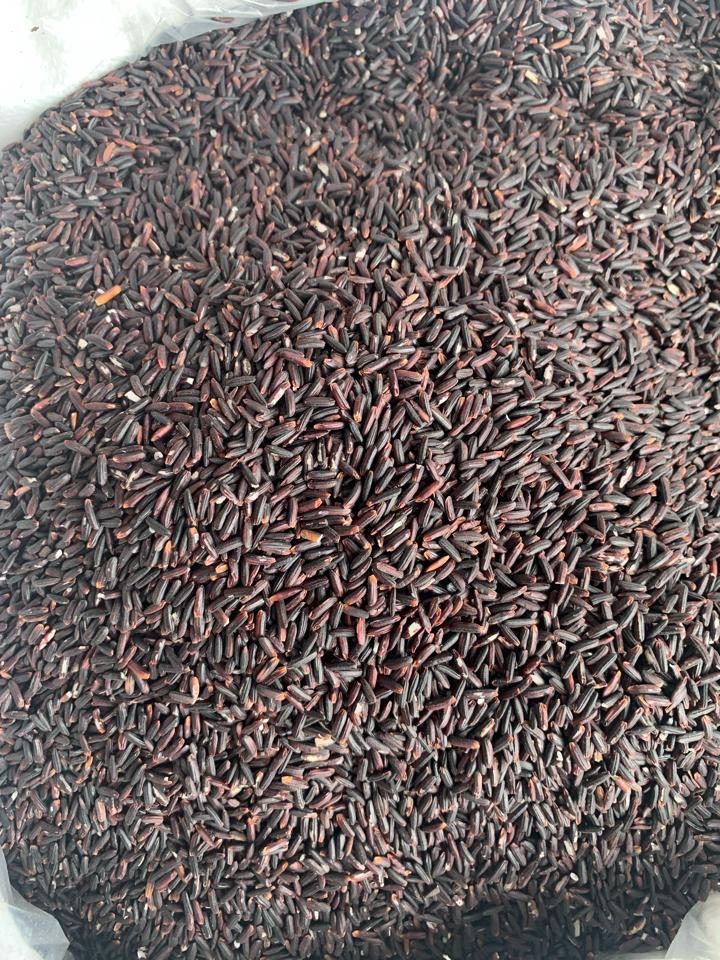 Lứt đen-duoc-ban-tai-Shop Hương rừng Điện Biên