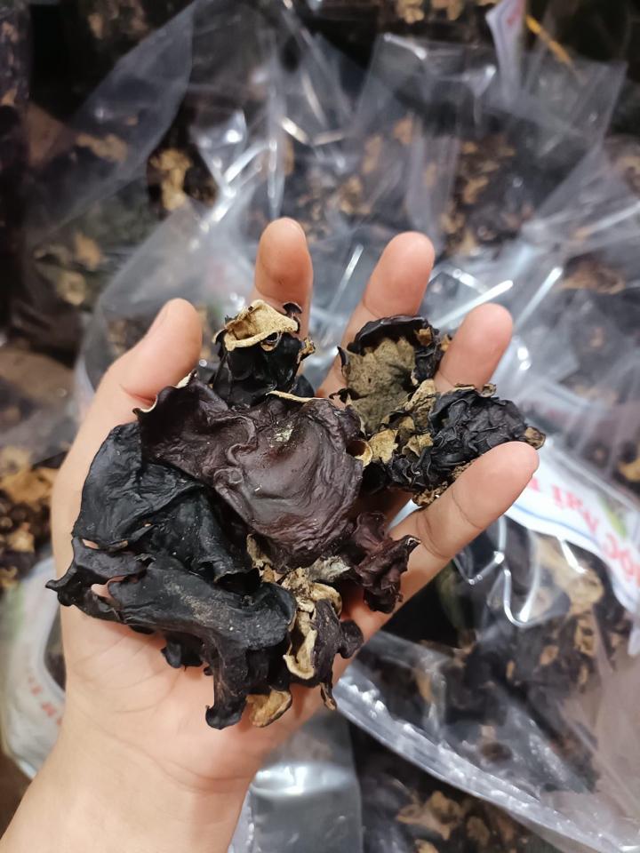 Mộc nhĩ rừng-duoc-ban-tai-Shop Hương rừng Điện Biên