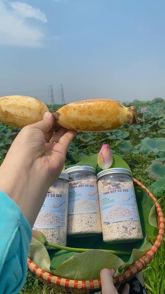 Bột củ sen-duoc-ban-tai-Shop Hương rừng Điện Biên