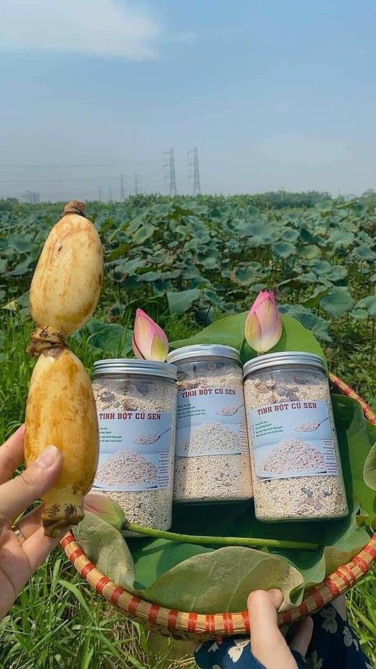 Bột củ sen-duoc-ban-tai-Shop Hương rừng Điện Biên