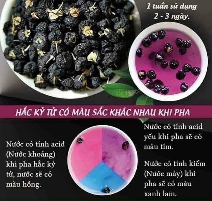 Hắc kỷ tử-duoc-ban-tai-Shop Hương rừng Điện Biên