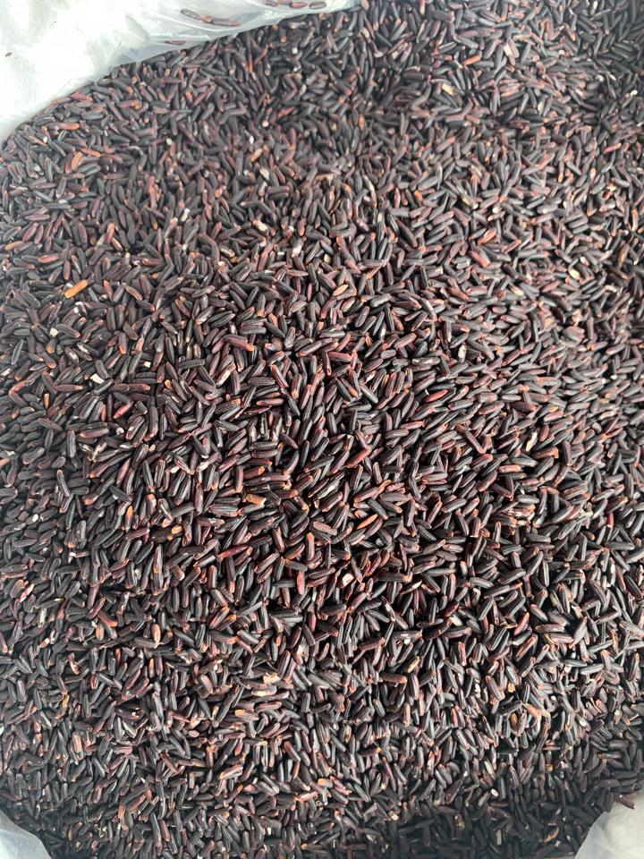Gạo lứt đen dẻo-duoc-ban-tai-Shop Hương rừng Điện Biên