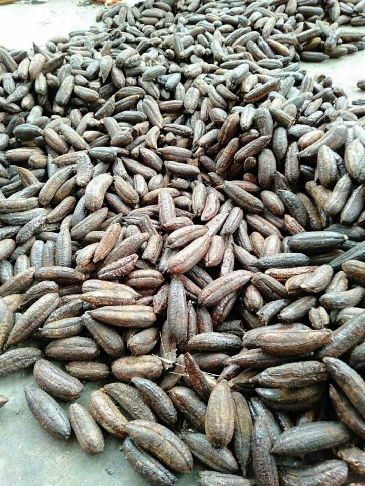 Chuối hột rừng quả-duoc-ban-tai-Shop Hương rừng Điện Biên