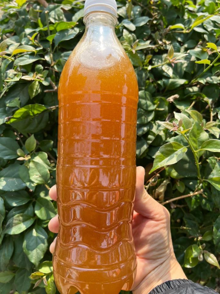 Mật ong khoái (1l)-duoc-ban-tai-Shop Hương rừng Điện Biên