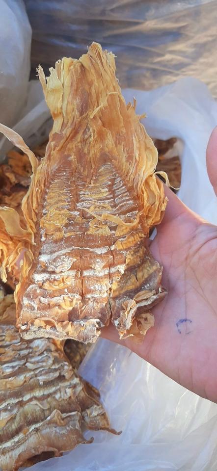 Măng nứa Điện Biên-duoc-ban-tai-Shop Hương rừng Điện Biên