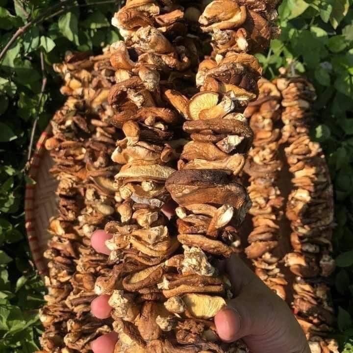 Nấm hương xiên-duoc-ban-tai-Shop Hương rừng Điện Biên