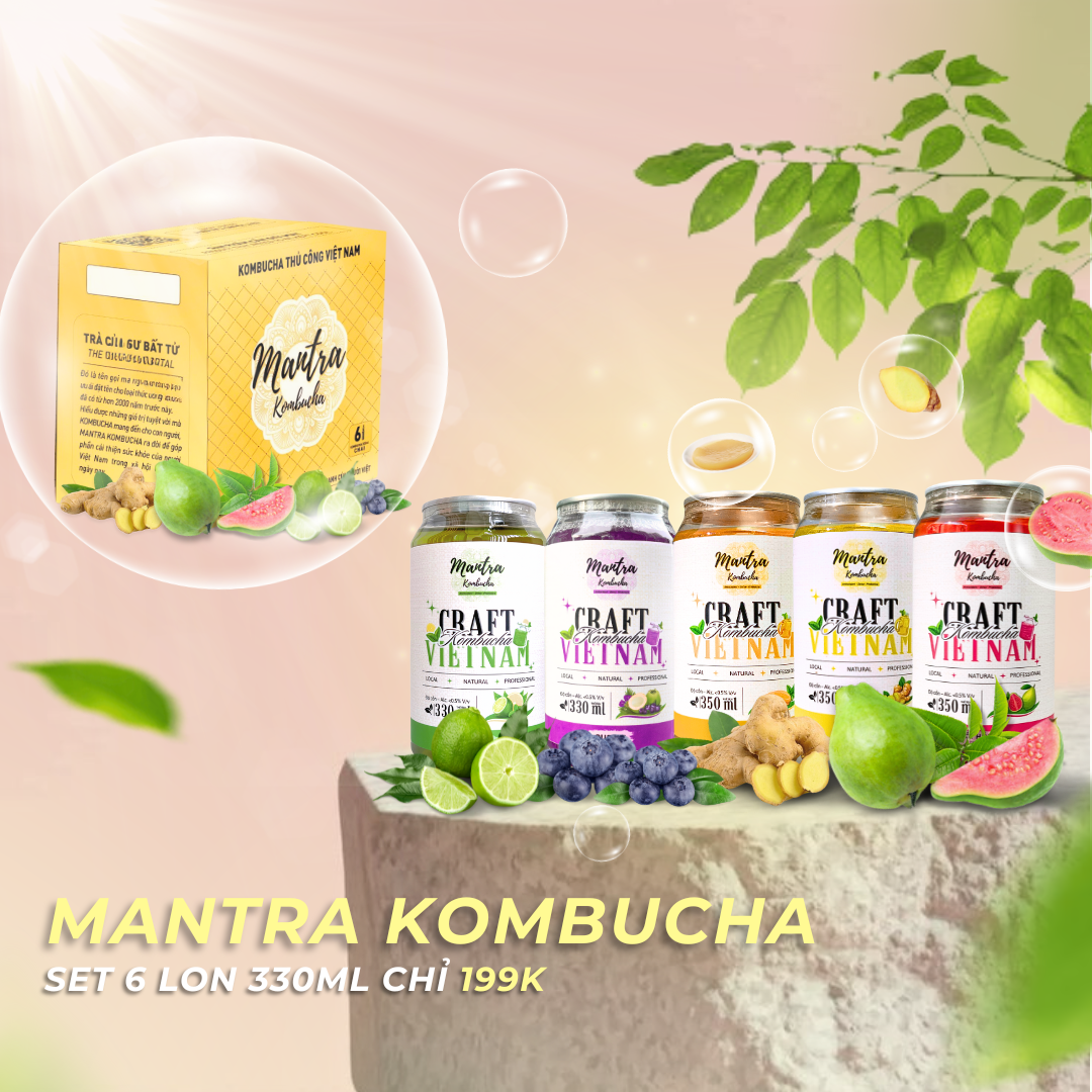 Hộp 6 lon 330ml-duoc-ban-tai-Mantra Kombucha