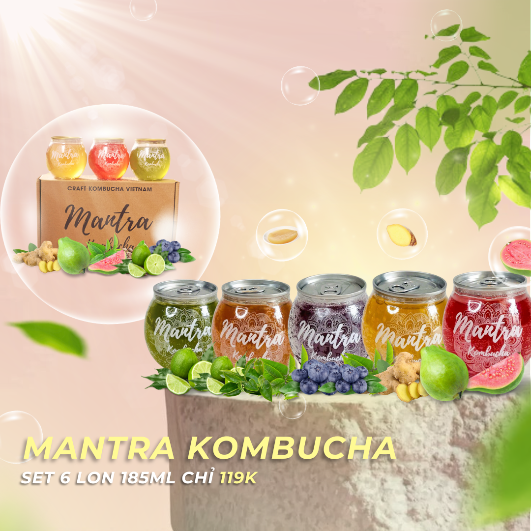 Pack 6 lon 185ml-duoc-ban-tai-Mantra Kombucha